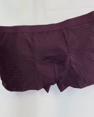 Sentis Boxers